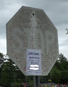 Faded Stop Sign